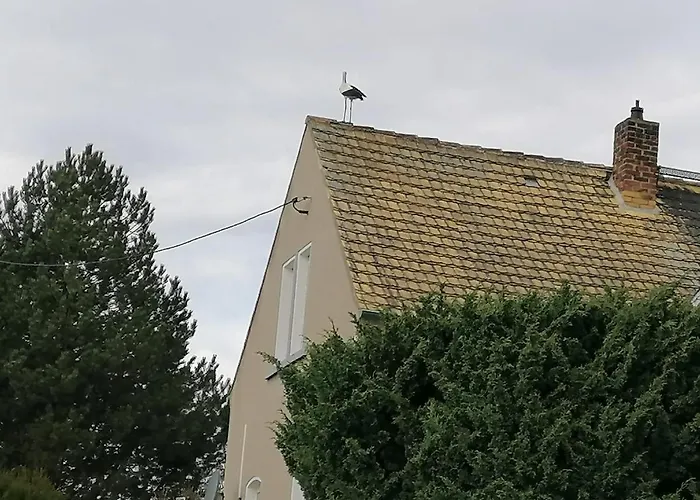 펜션 Affenhaus Treben